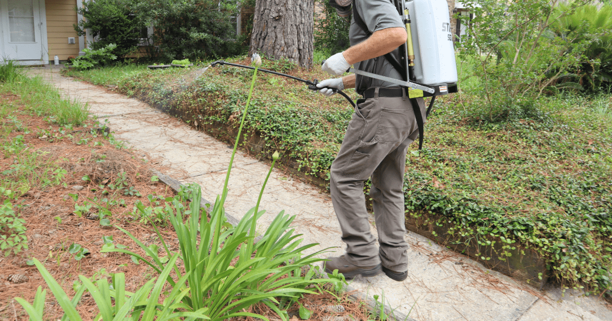 technician at work providing pest control in Dunedin, FL, ensuring a pest-free home environment